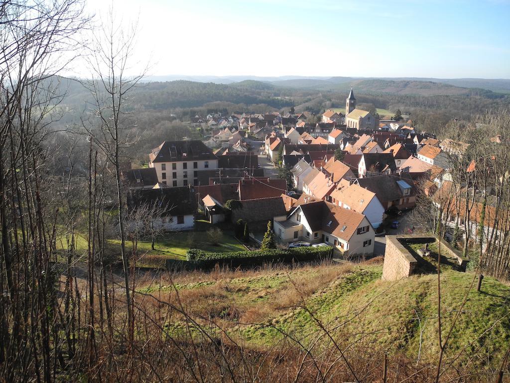 Au Pied Du Chateau Lichtenberg ห้อง รูปภาพ